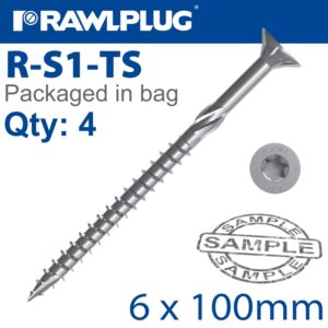 R-ts hardened screw 6.0x100mm x4 per bag(RAW R-S1-TS-6100)